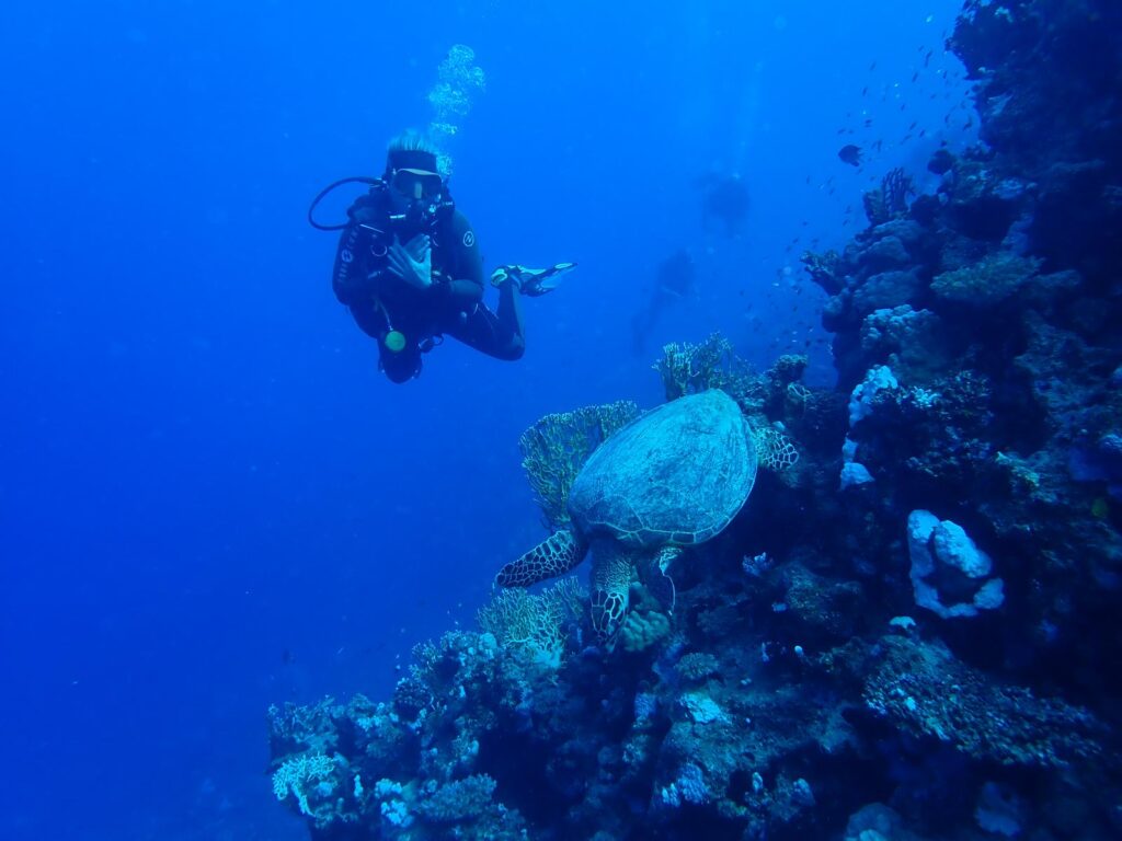 Diving